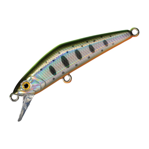 Ｄ－コンパクト　４５(＃１３　チャートバックヤマメ)